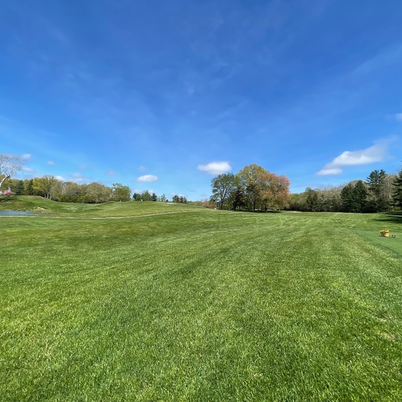 Meet your Posher, Brendan - Picture 1 of 1